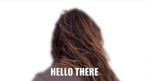 hello there welcome.gif
