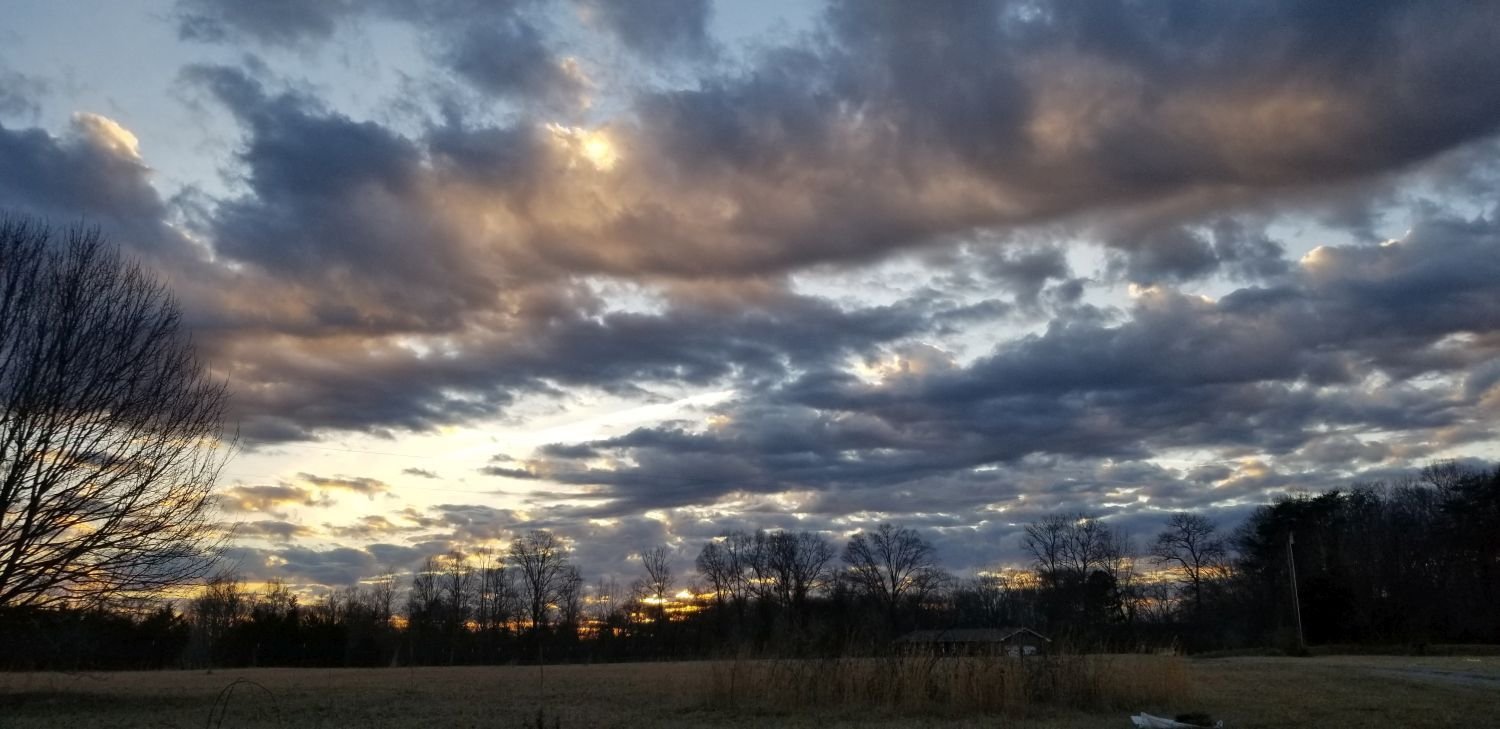 20180209_170643 Lovely sunset and Bradford pear.jpg