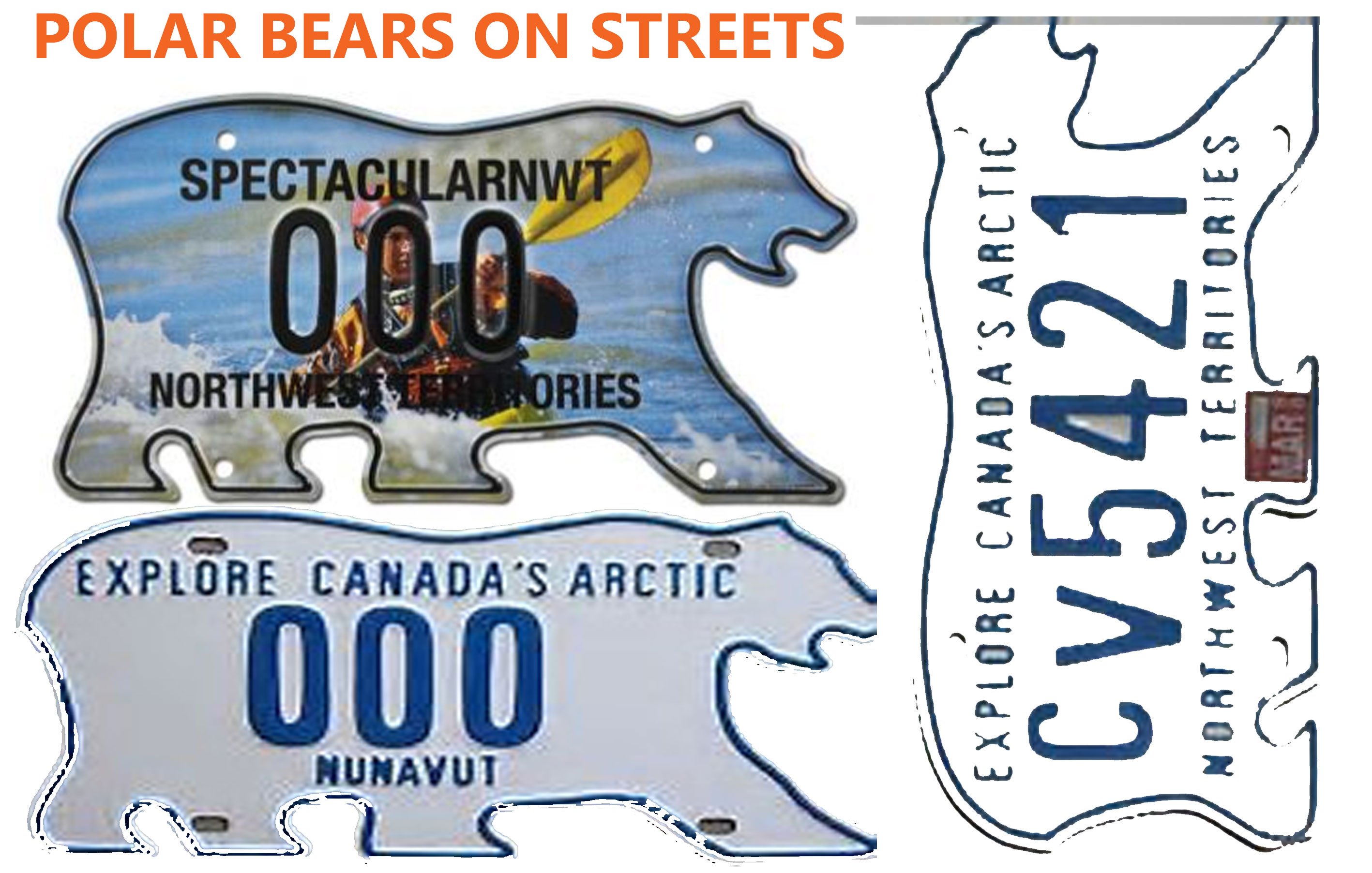 polar-bear-streets.jpg