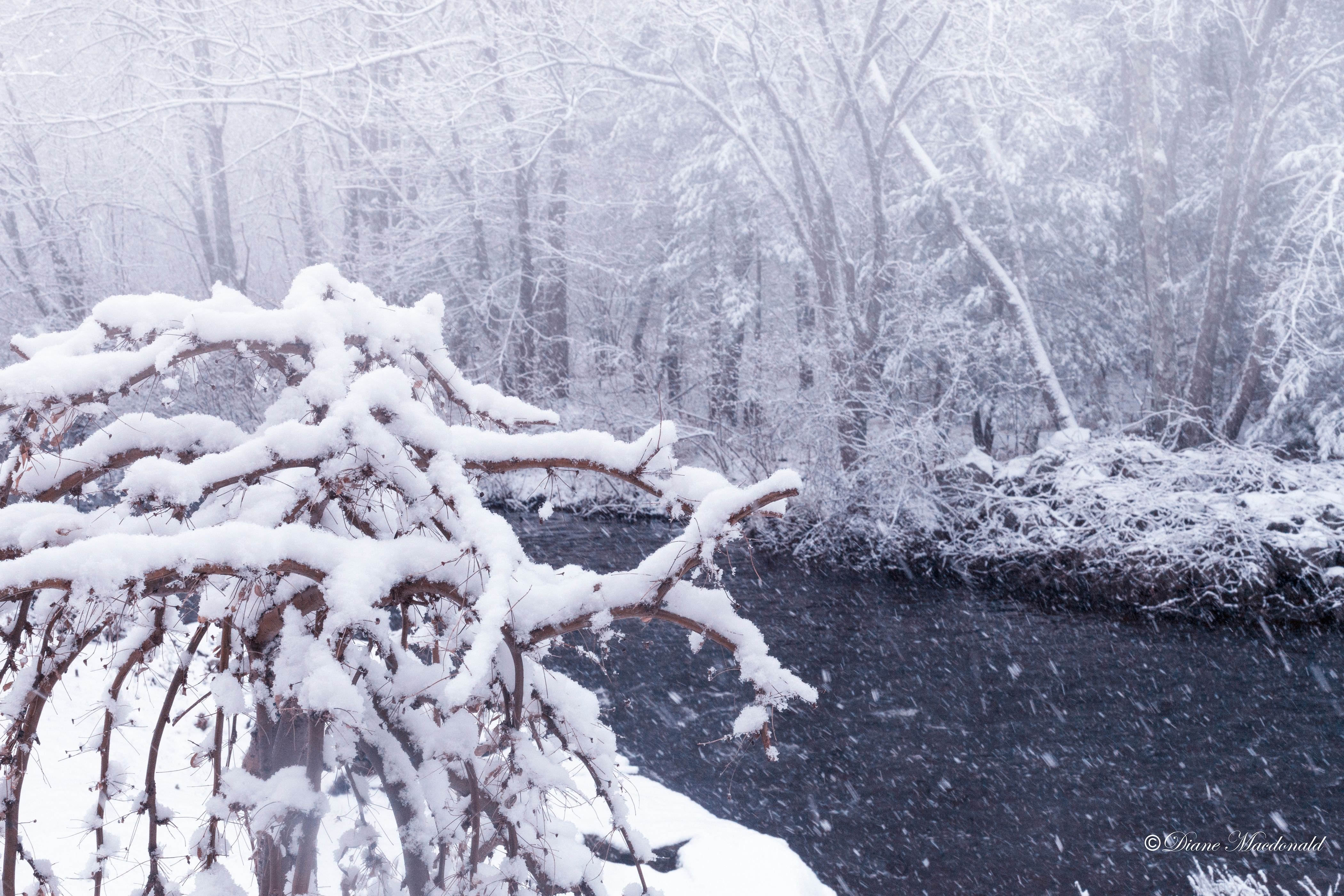 snowy massachusetts.jpg