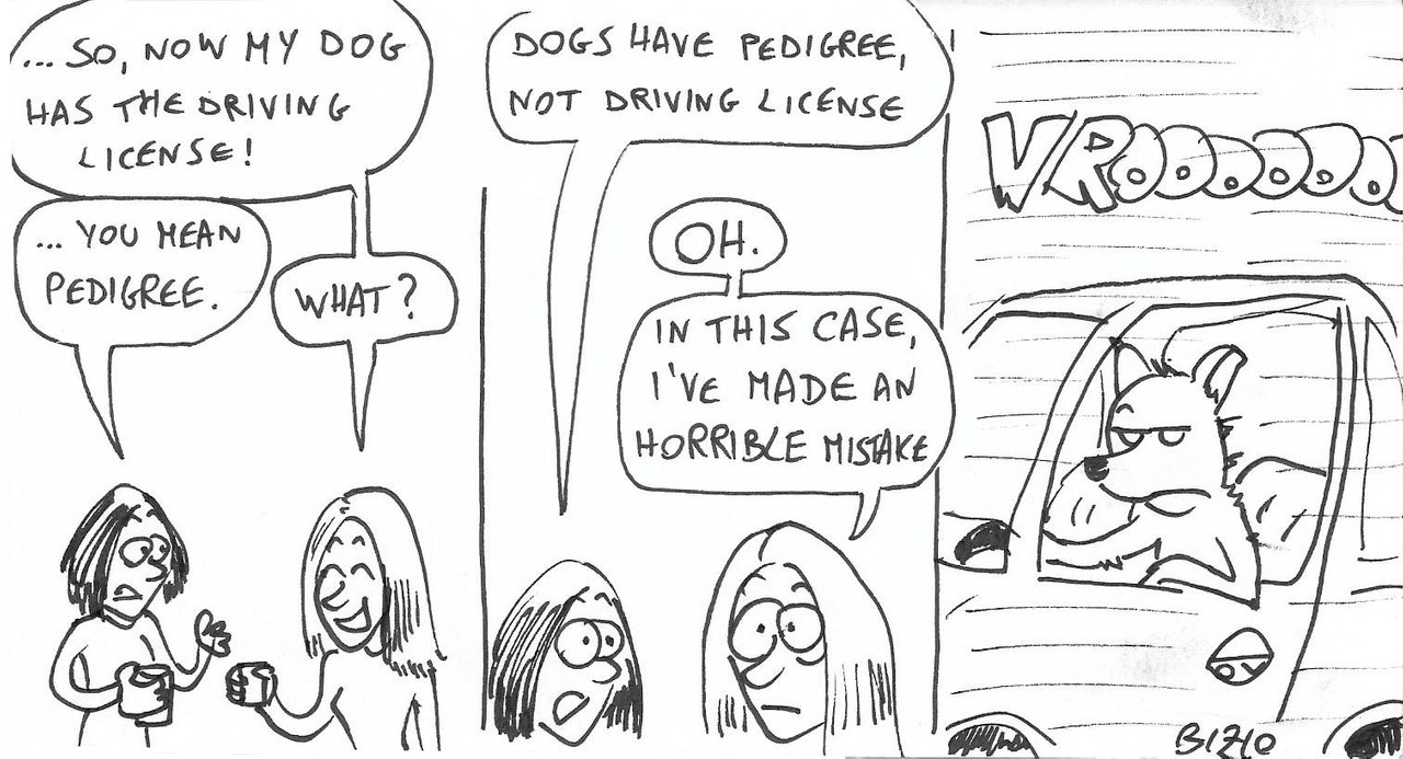 drivingLicense.jpg