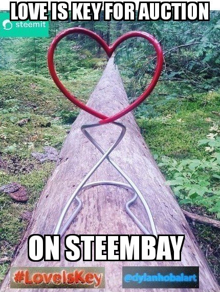 steembay.jpg