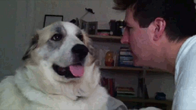 DQmdTbcp4ENxBKZeezP2FLi8xxdHHc4DrioQmDzHg7FxN3T.gif