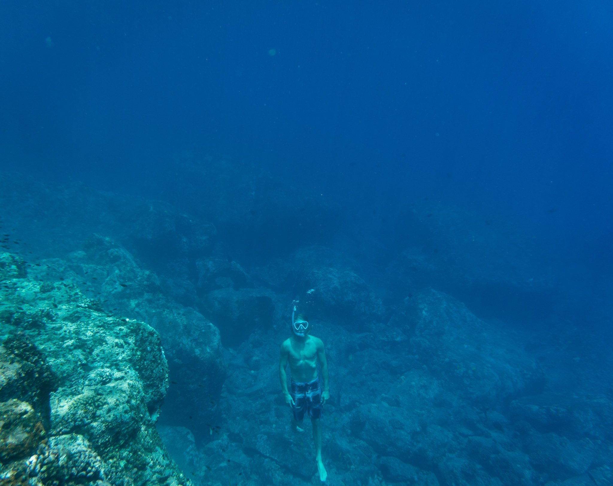 Merman Dan rising to the surface