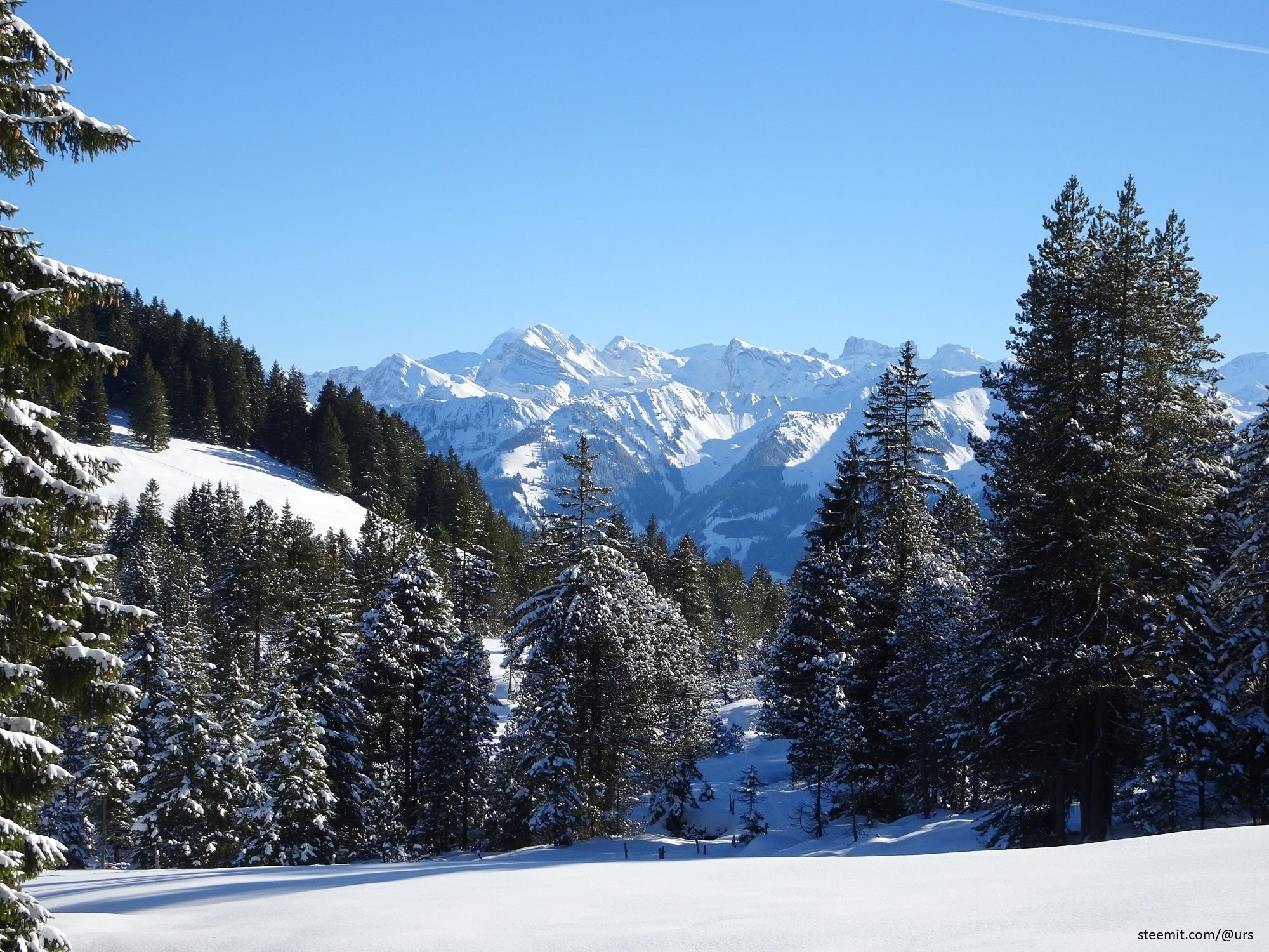 alps.jpg
