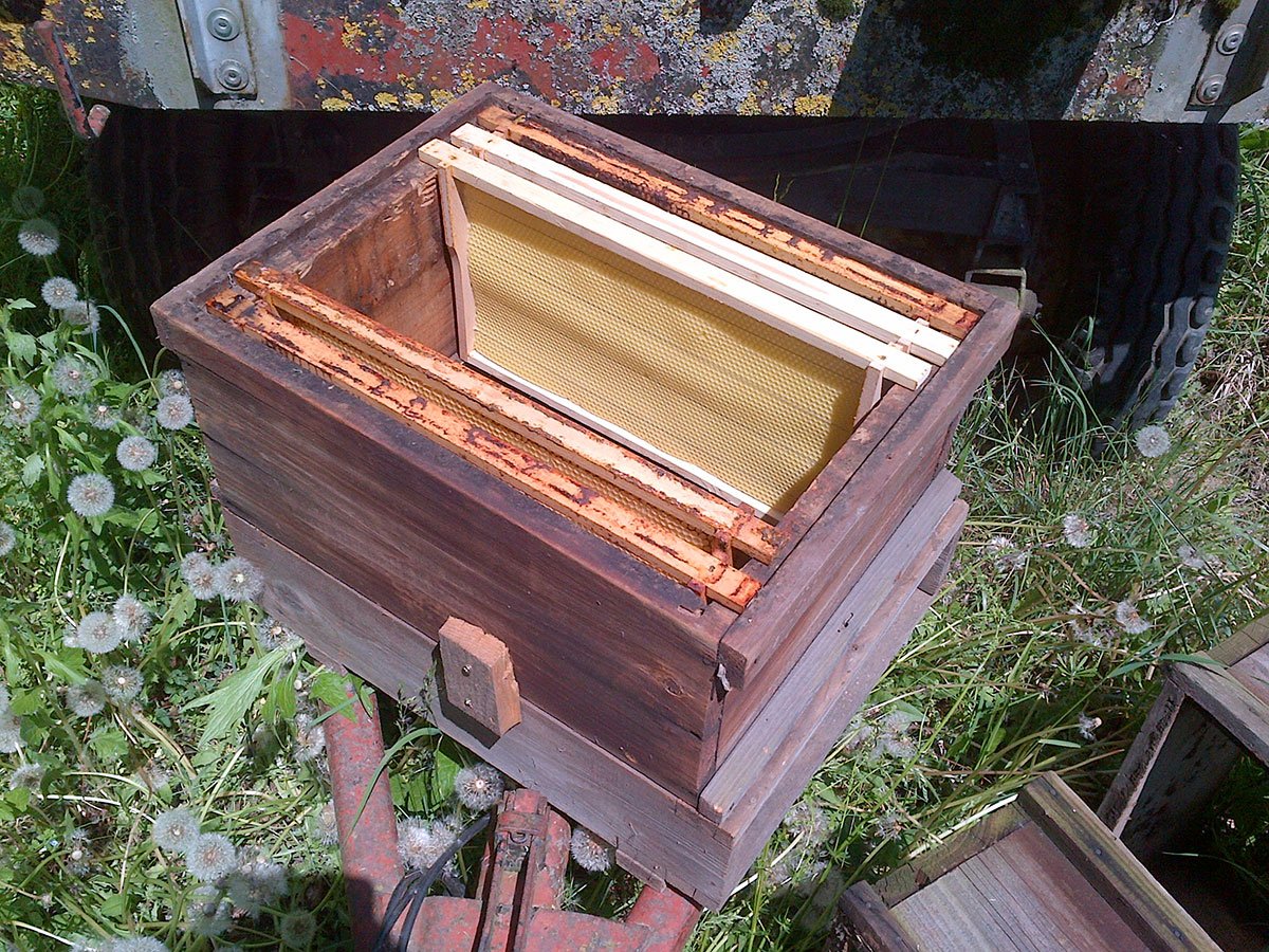 get a hive box ready