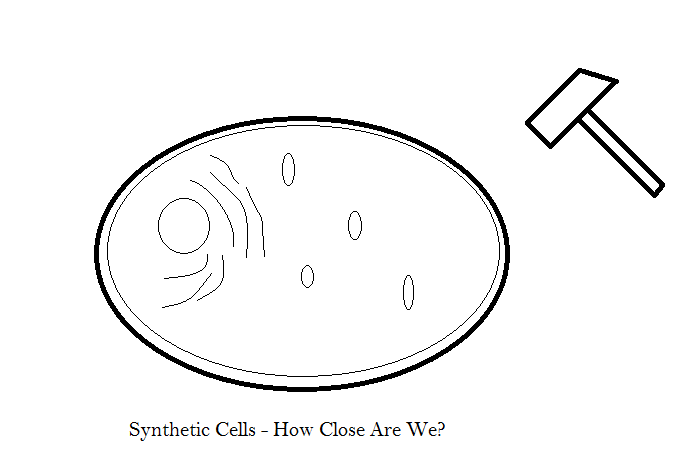 SynCell.png