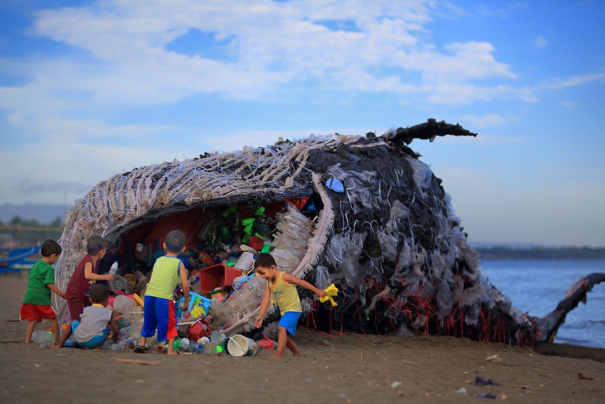 Dead-Whale-of-the-Philippines-591a69e8b18af__880.jpg