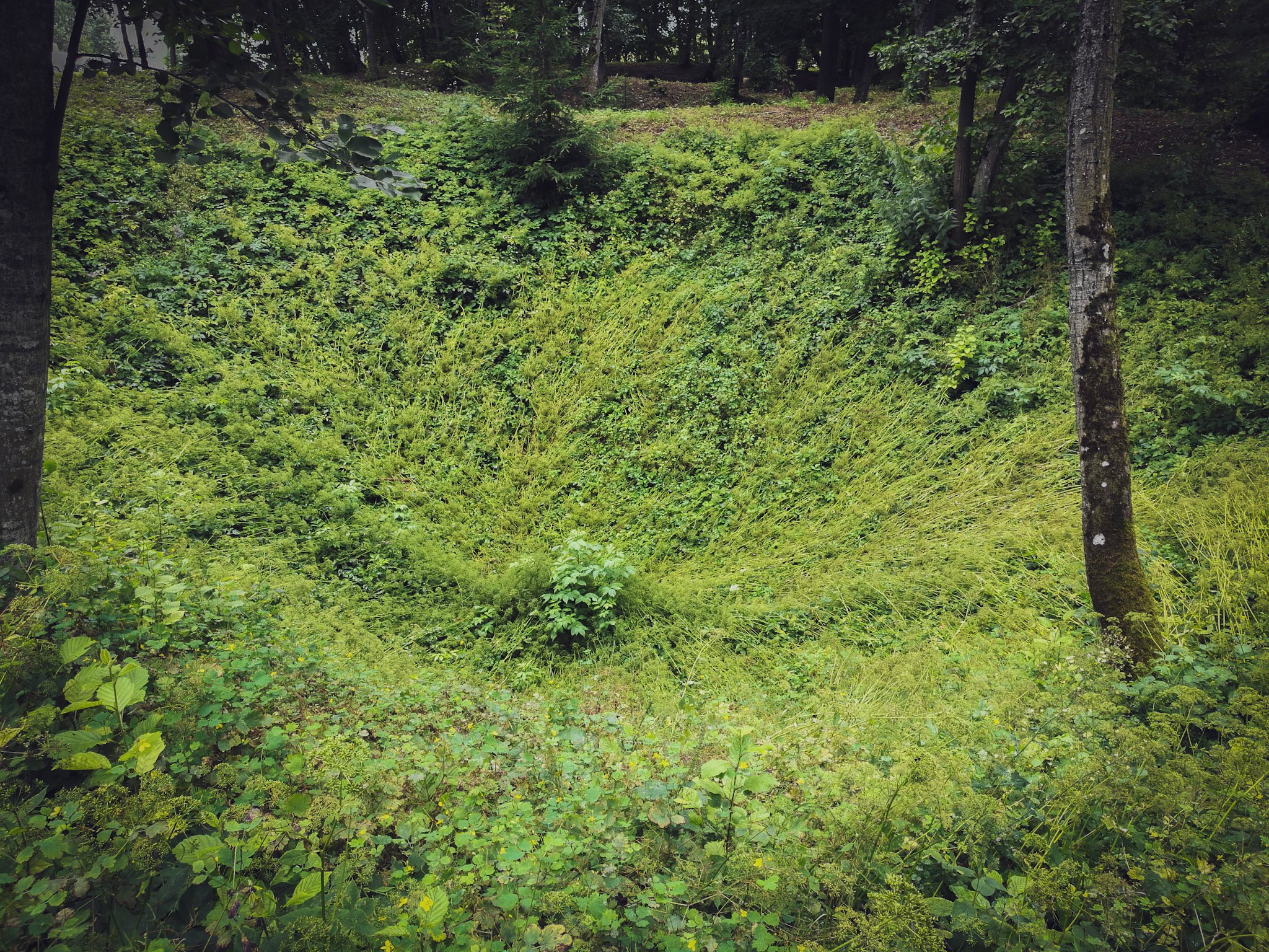 sinkhole-near-cow-cave.jpg