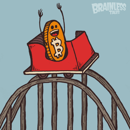 bitcoin rollercoaster.gif