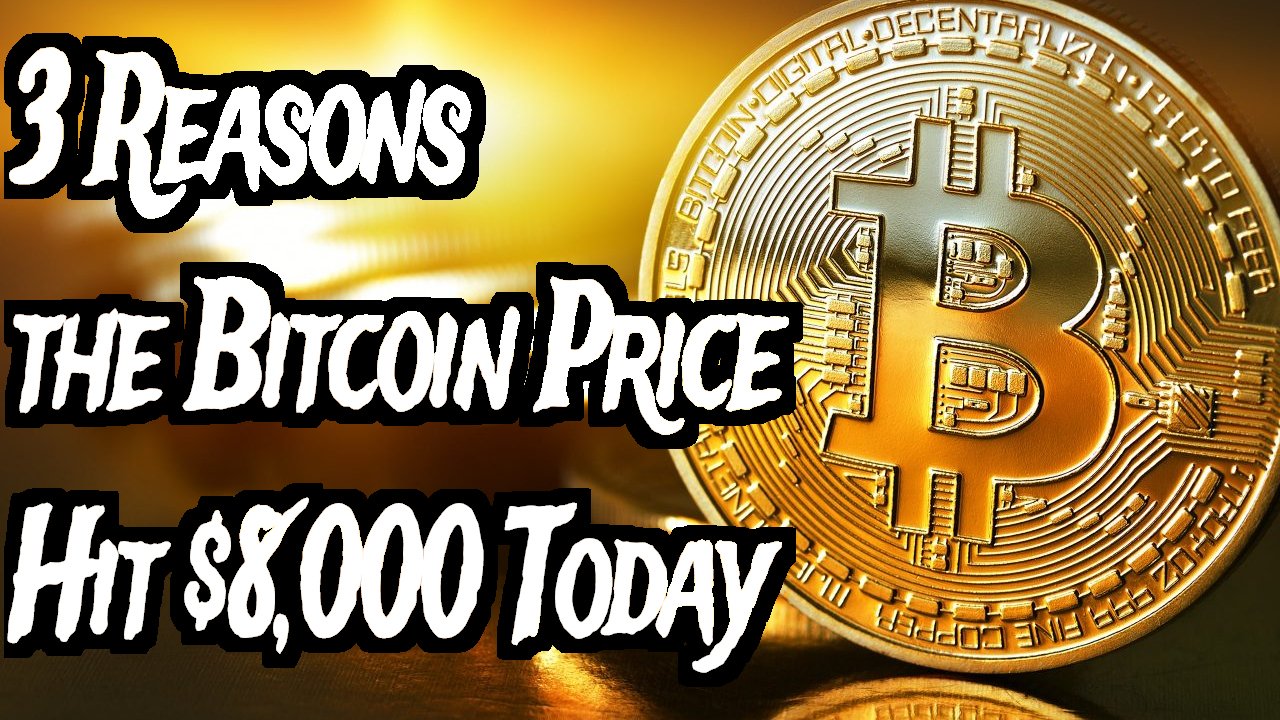 8000 bitcoin value