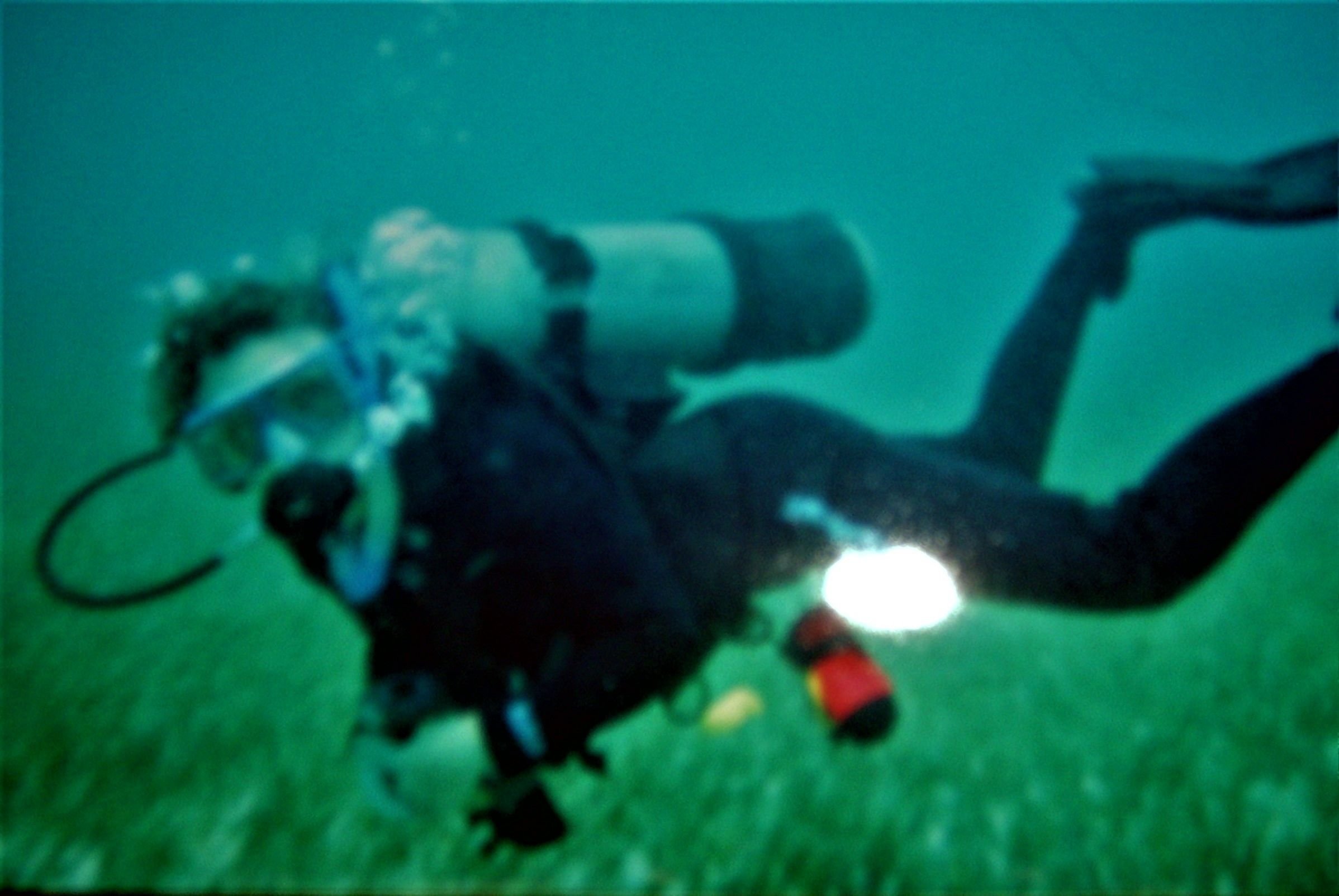 pic of diving pic.JPG