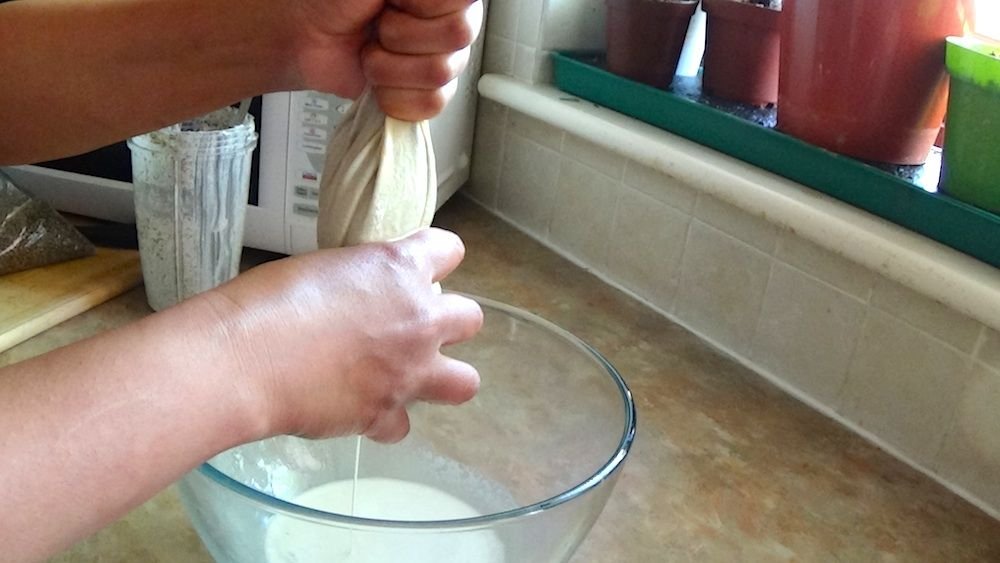 Squeezing hemp milk from nutmilk bag.jpg