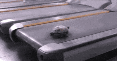 20180218223917_fMmOJx4uf3fsp-1.gif