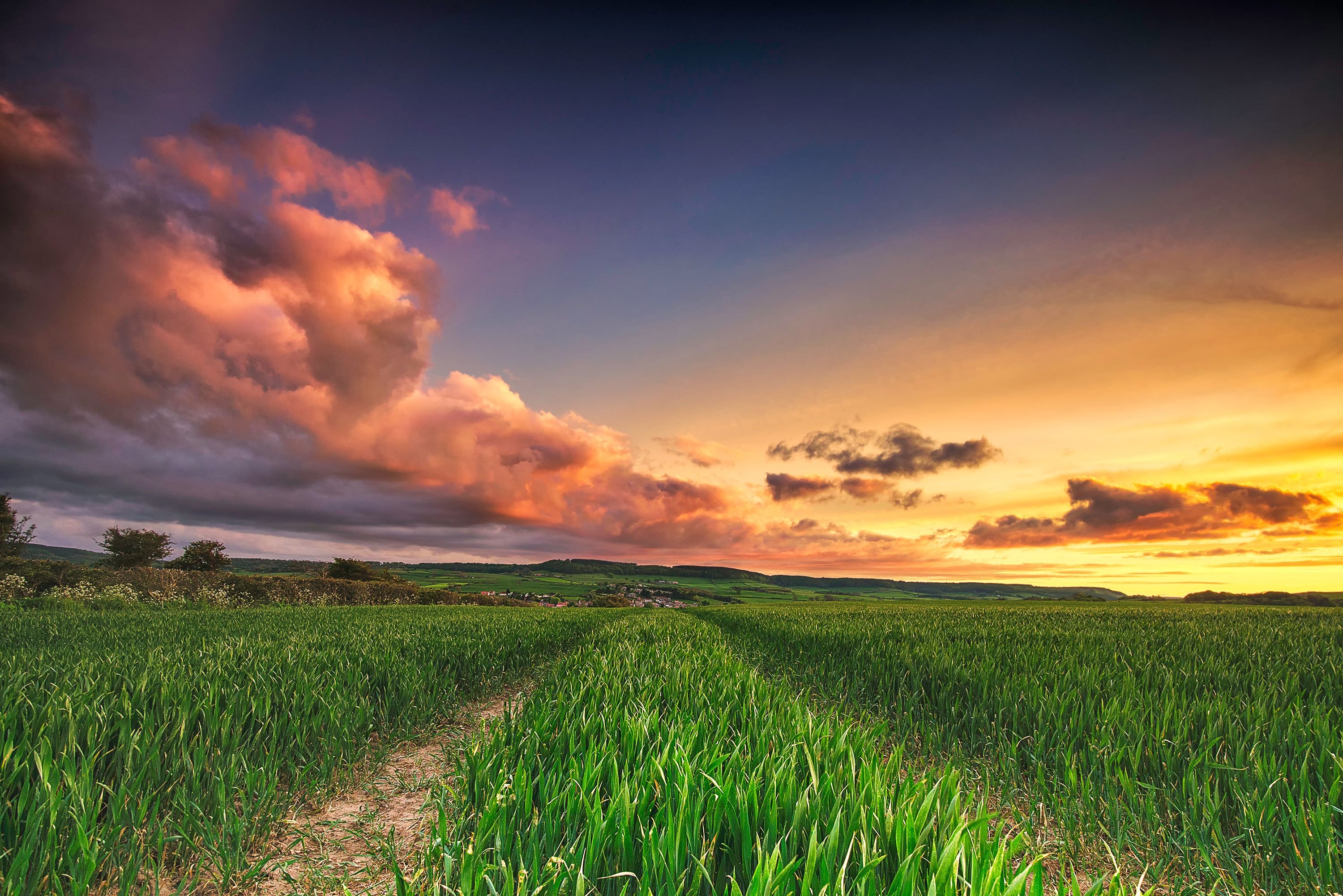 Station Lane Sunset.jpg