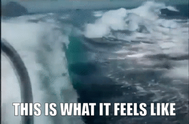WHALE UPVOTE WITH CAPS.gif