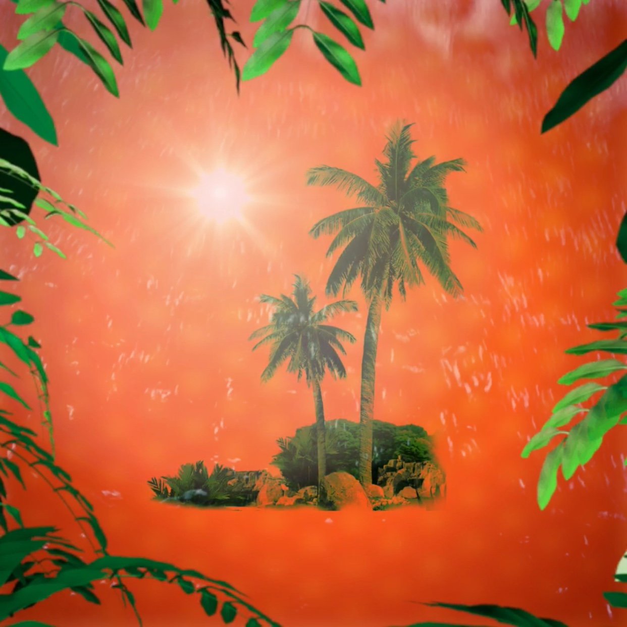 to-the-tropics-art.jpg