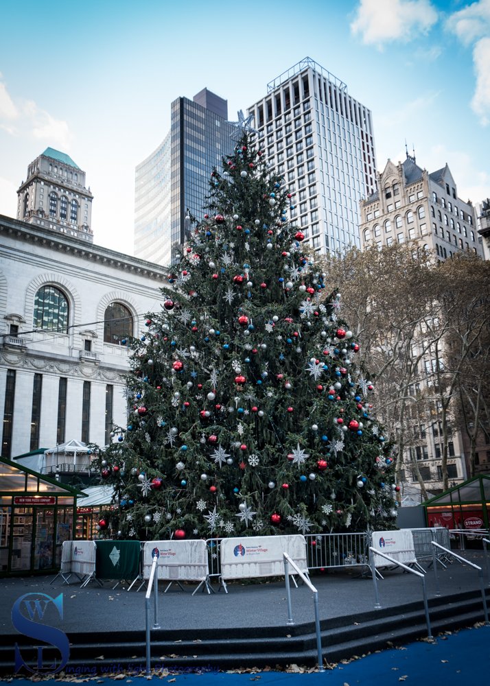 Bryant Park tree_-2.jpg