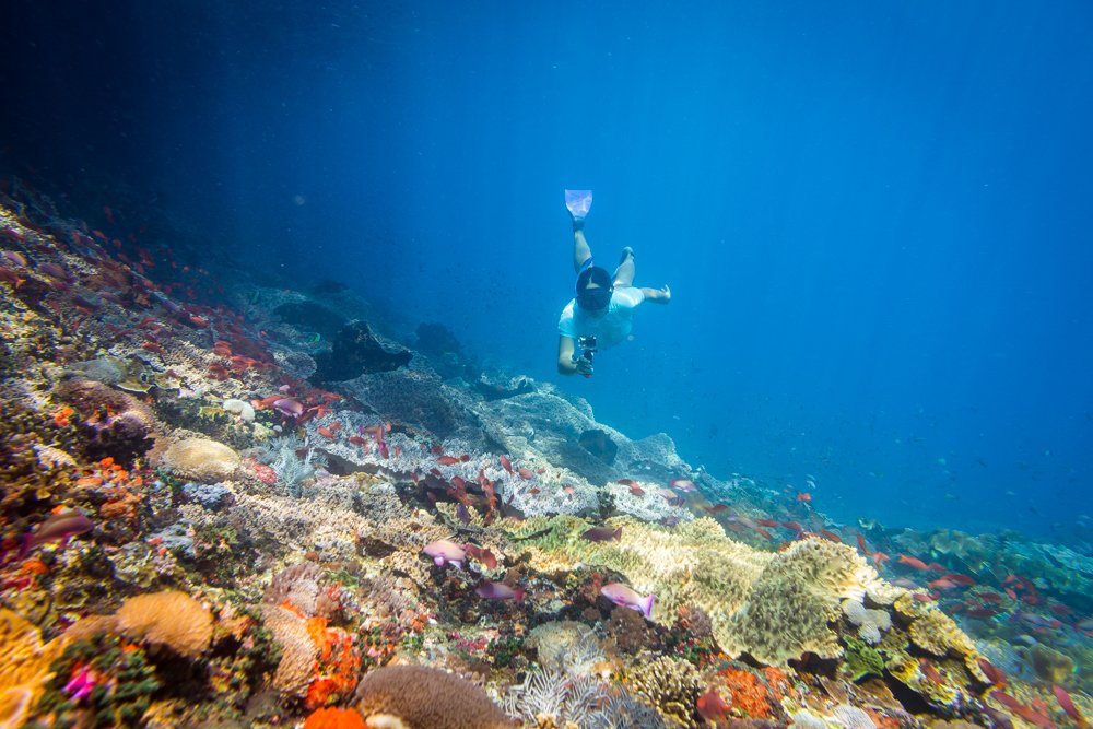 Danielle freediving @ James Sherwood - Bluebottle Films.jpg