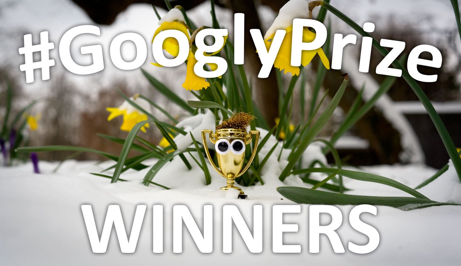 GooglyPrize Winners 36