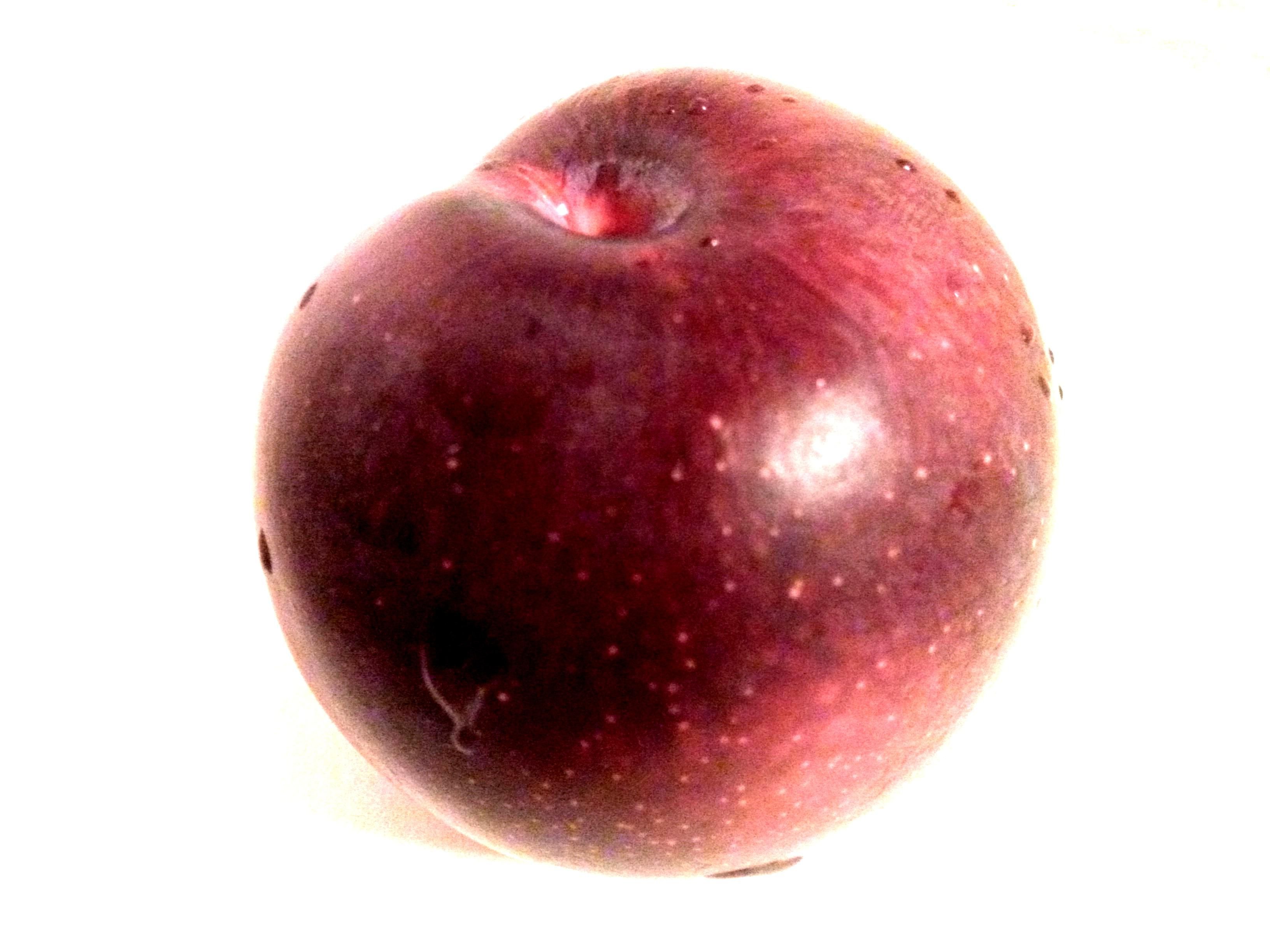 Plum (82/365)