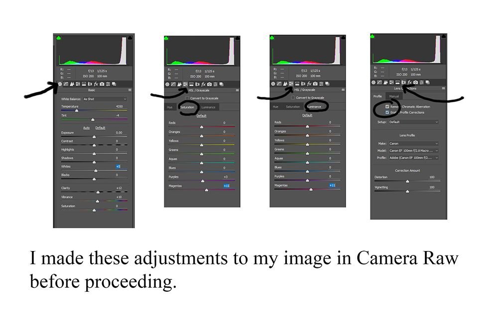 fig-2.jpg