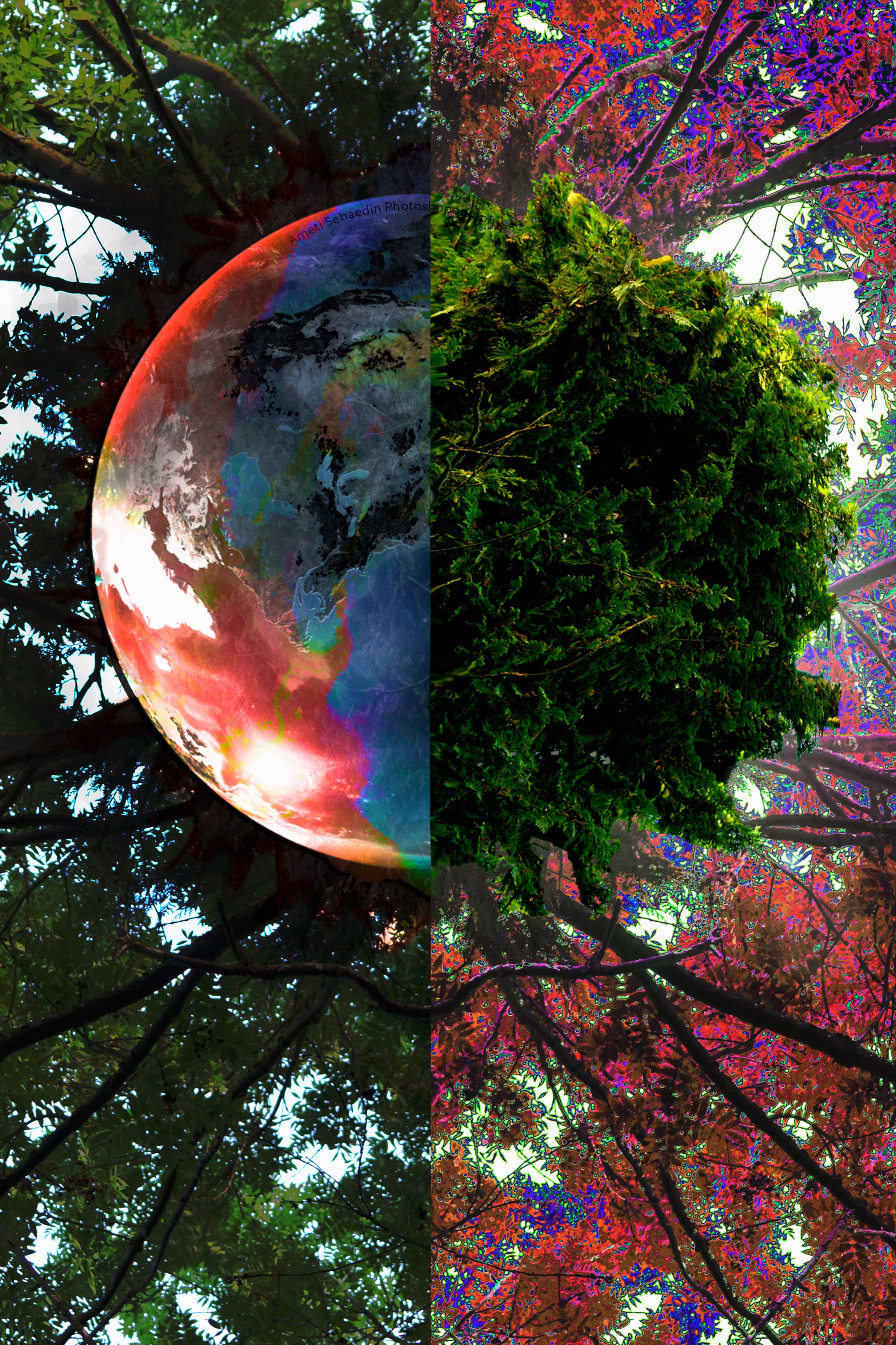 Two planets as one.jpg