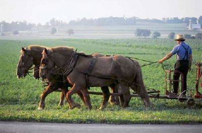 homesteading-home.jpg