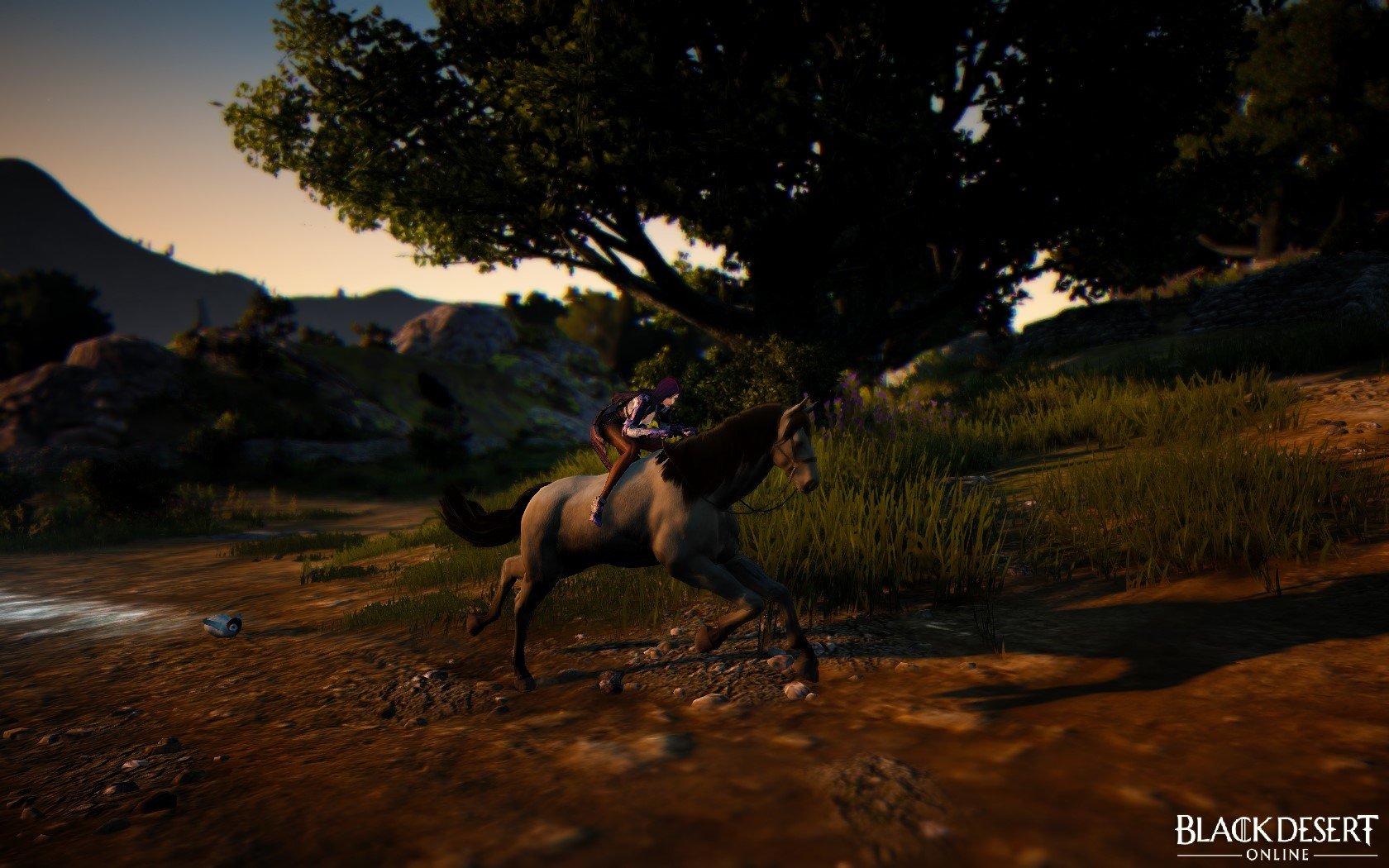 Black Desert Online game mmo