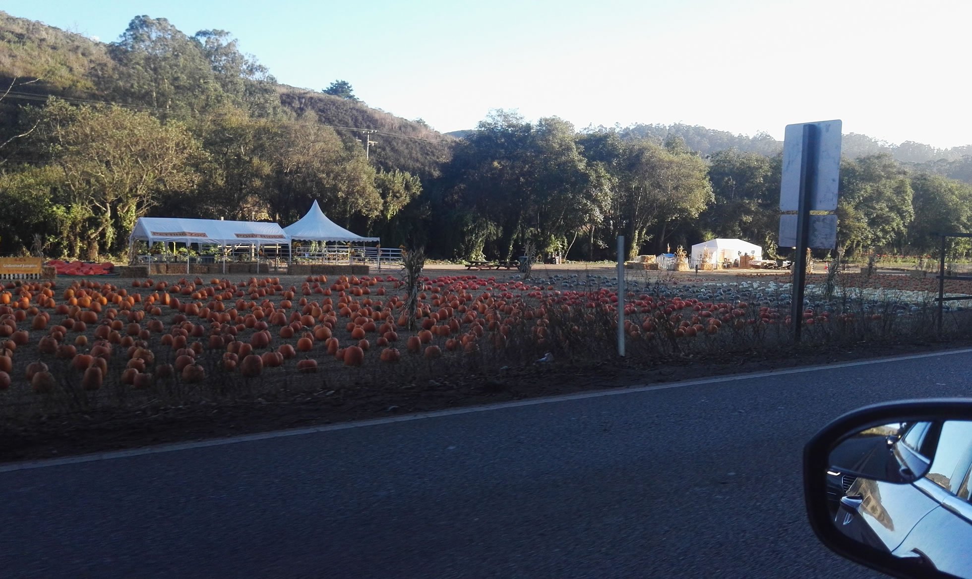 half-moon-bay-pumpkins-Aunt-Audreys-2.jpg