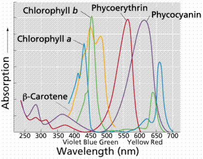 allspectra.gif