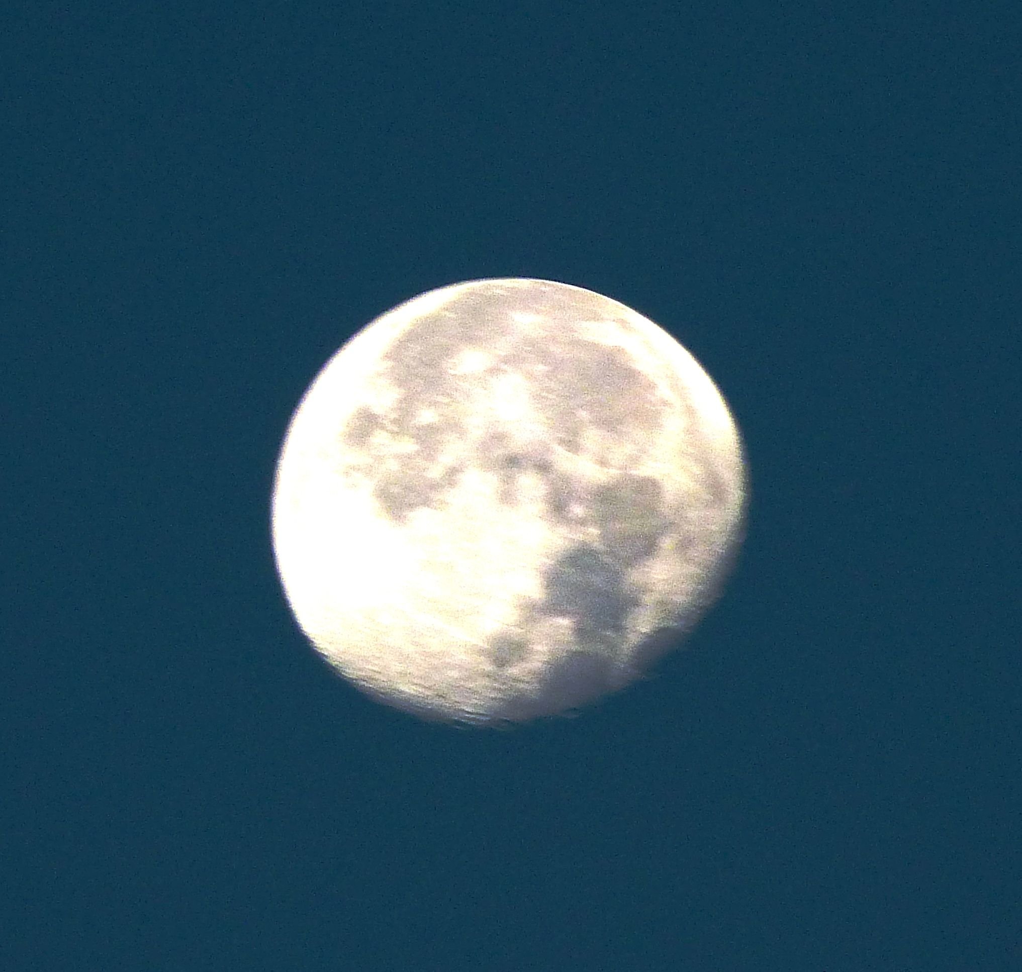 luna de andrea .JPG