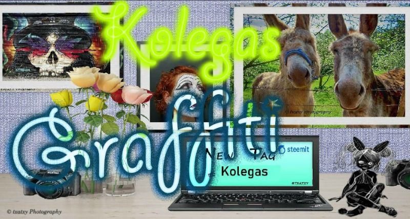 kolegas.jpg