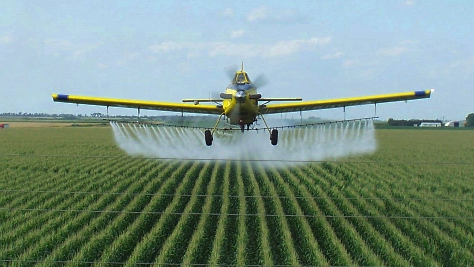 crop duster.jpg