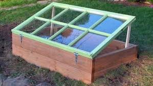 Cold frame 2.jpg