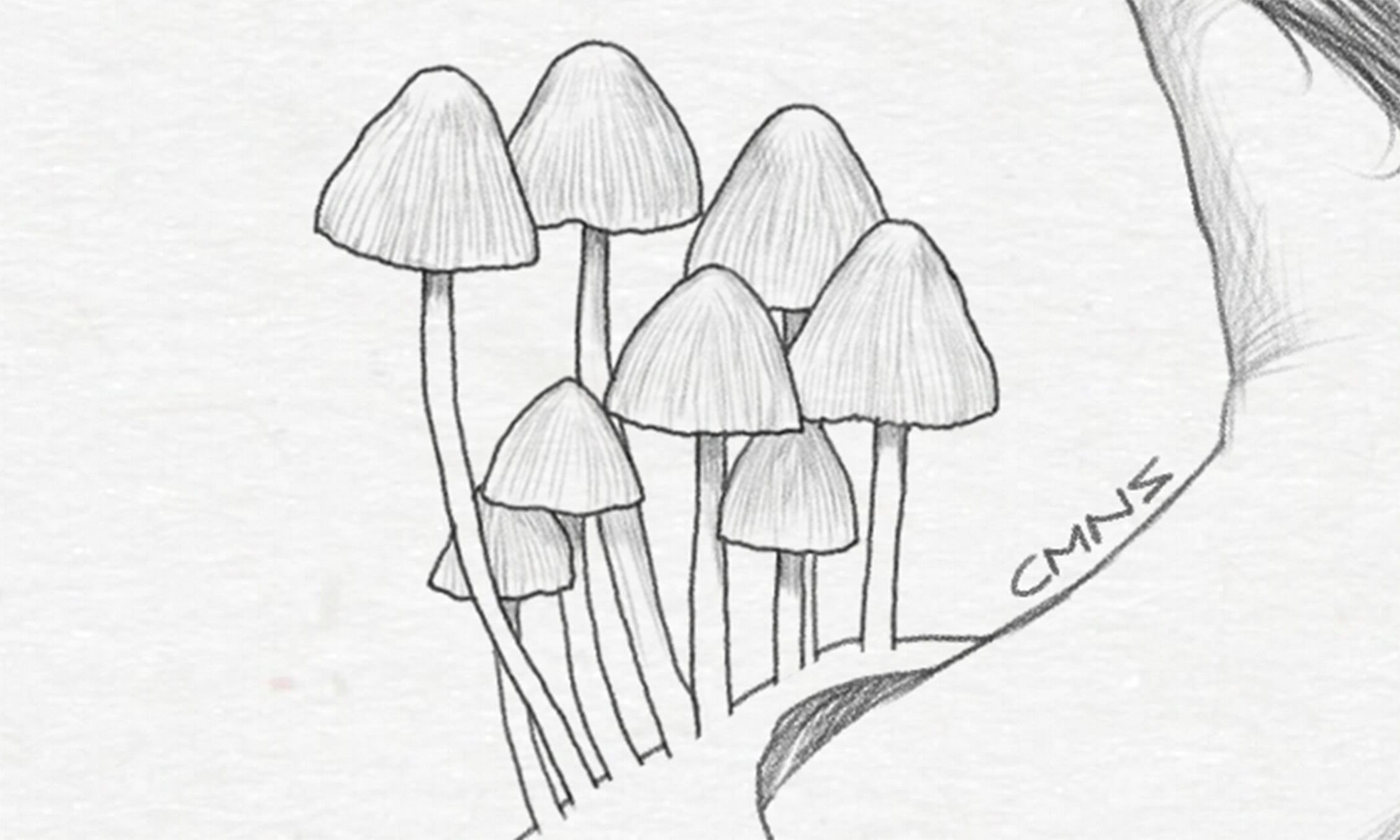 mushroom_detail_02.jpg