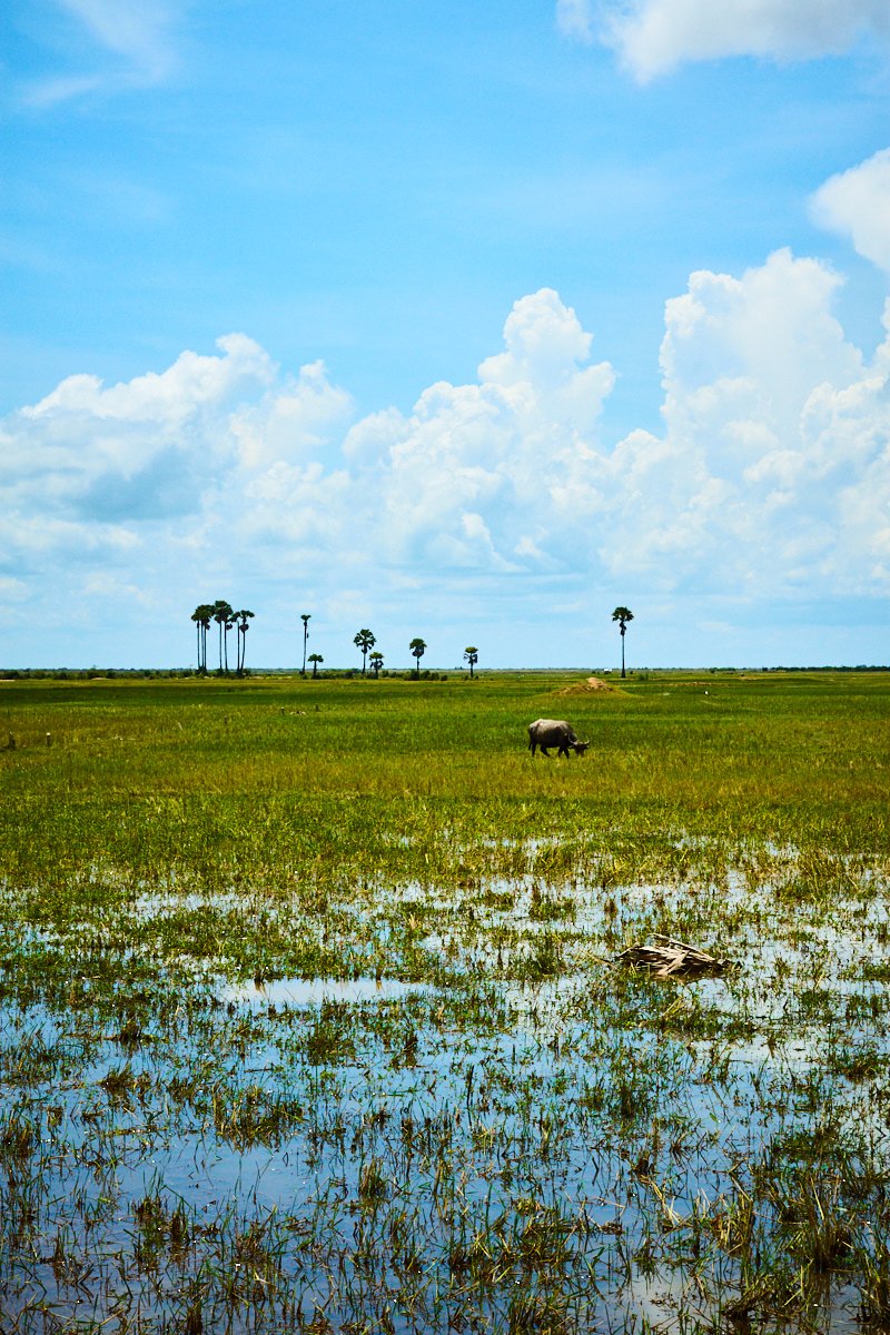 siem reap countriside 4.jpg