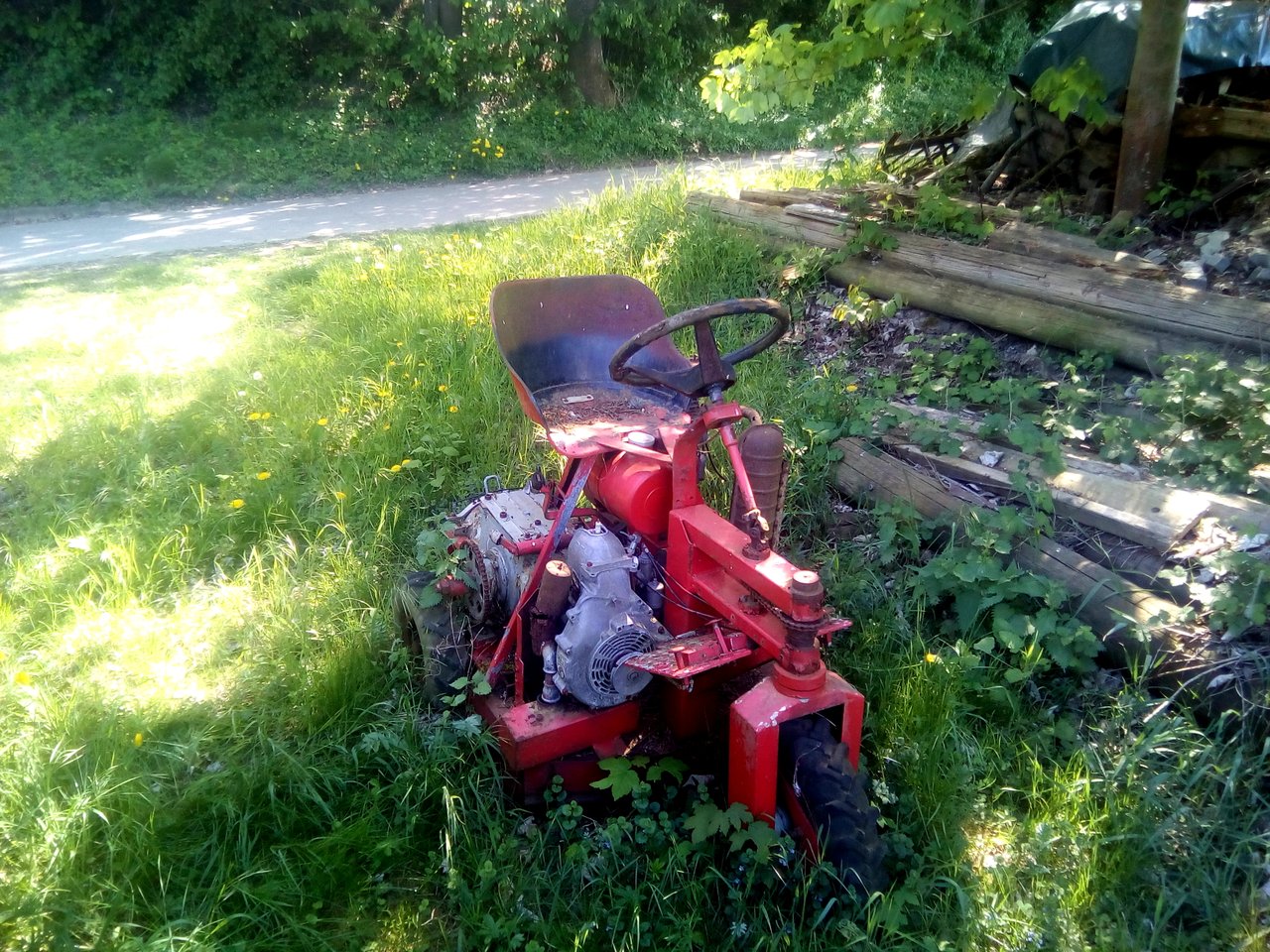 bild3.jpg