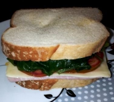 sandwich.jpg