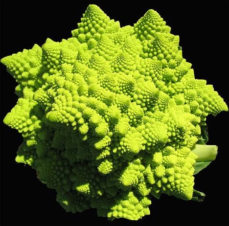 romanesco.jpg