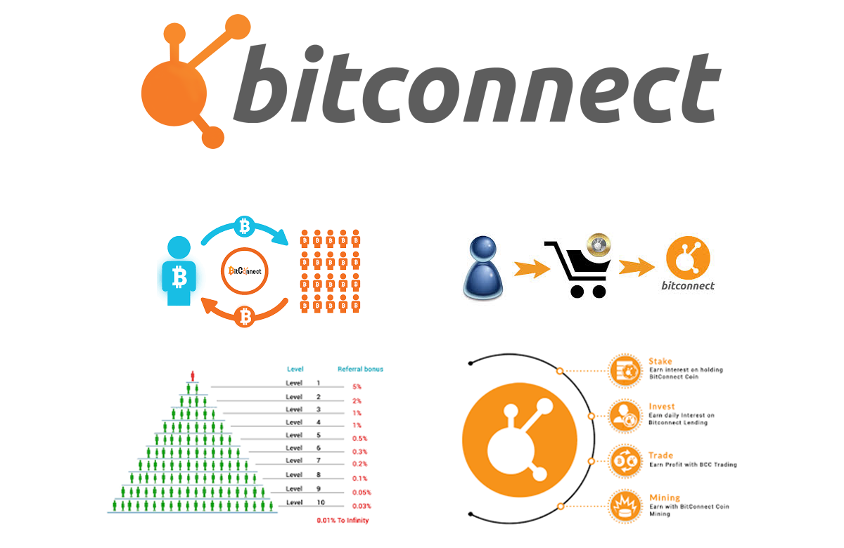 Bitconnect Coin Volatility Software Pdf Download Etp Coin Ico Houston - 