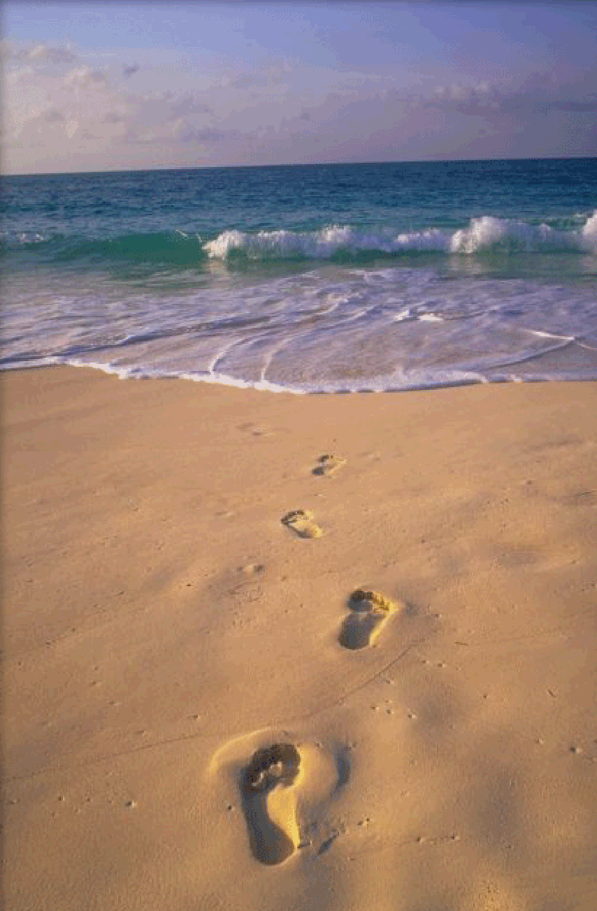 feet-in-sand.gif