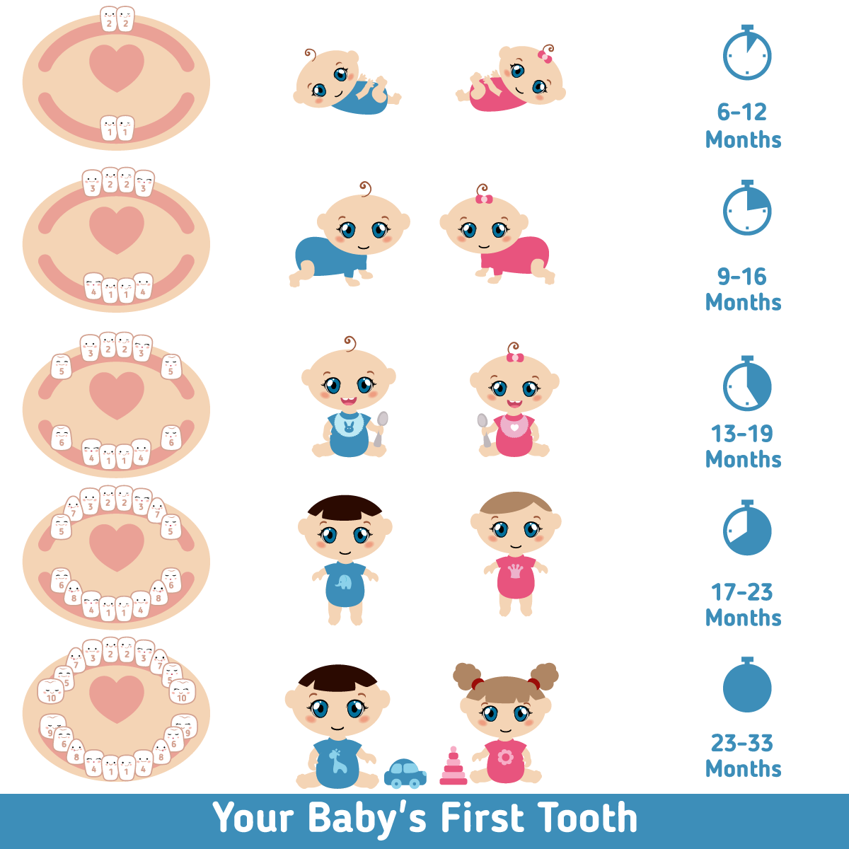 Teething-Chart.png