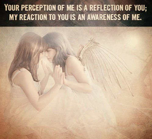 Image result for who said your perception of me is a reflection of you, my reaction to you is an awareness of me
