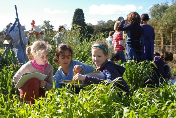 Australian Organic Schools program.jpeg