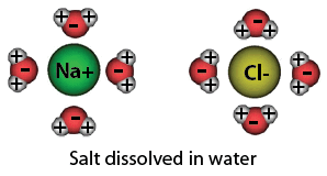 solvent-nacl.gif
