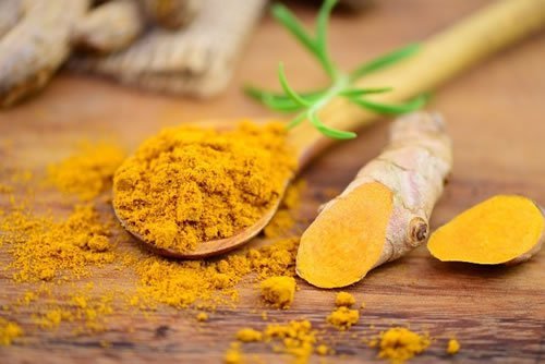 turmeric-for-dogs-cats.jpg