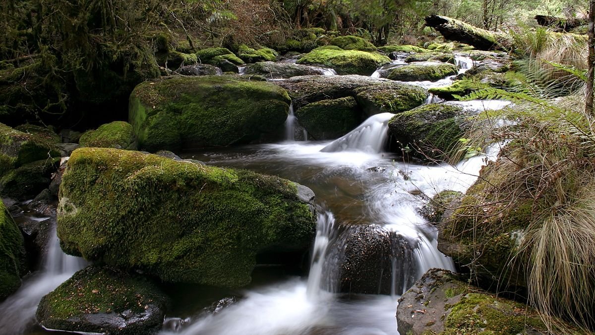 Wandle Falls 3.jpg