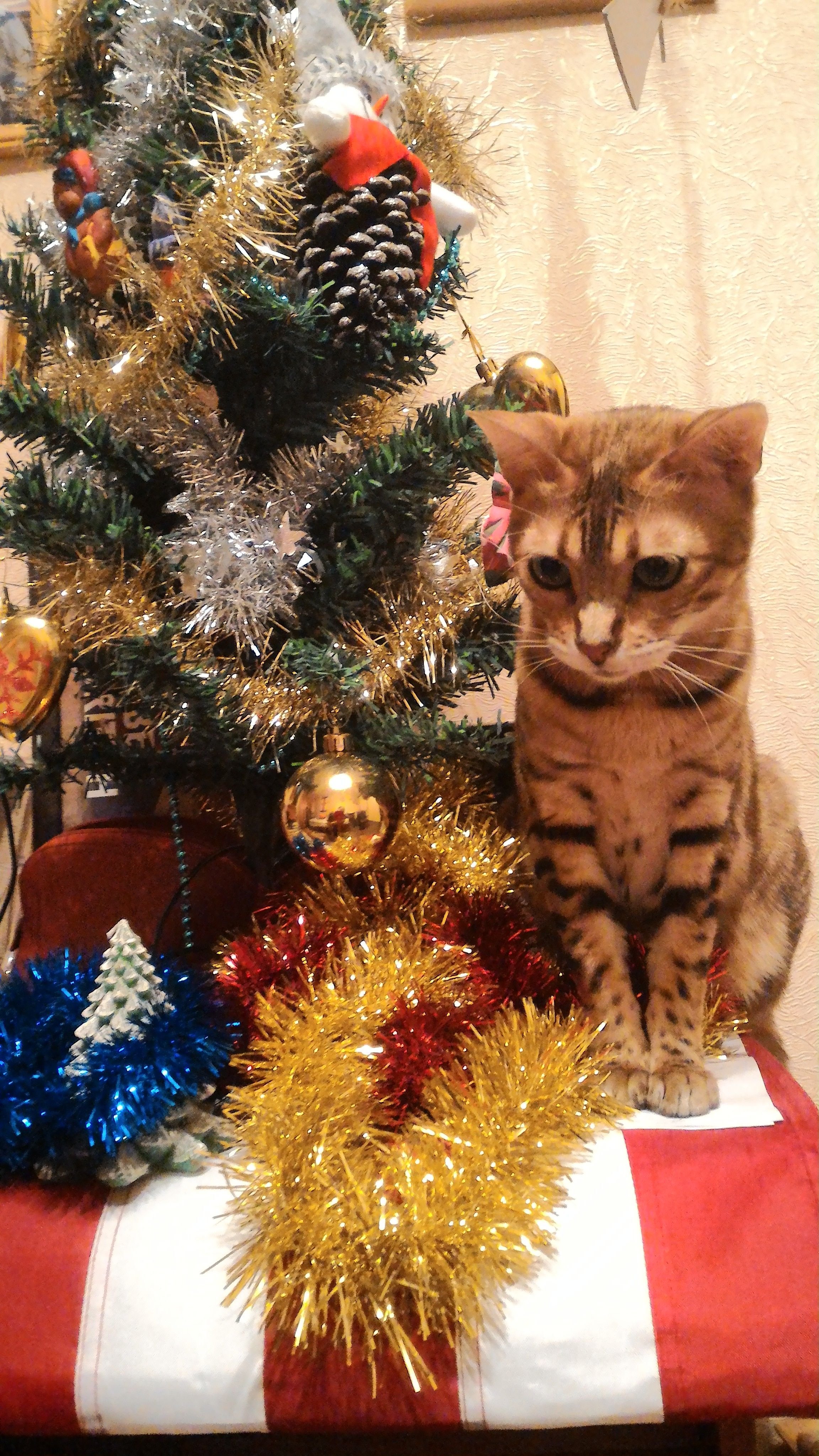 Christmas And New Year Holidays Are Approaching Russian