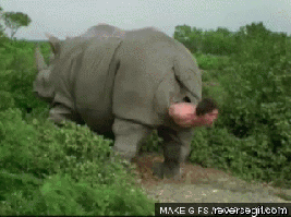 why+does+optimus+turn+into+a+rhinos+ass+hole+_4f86249f7085cf7d1e61bb5fe0a32a35.gif